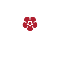 Alternate Text